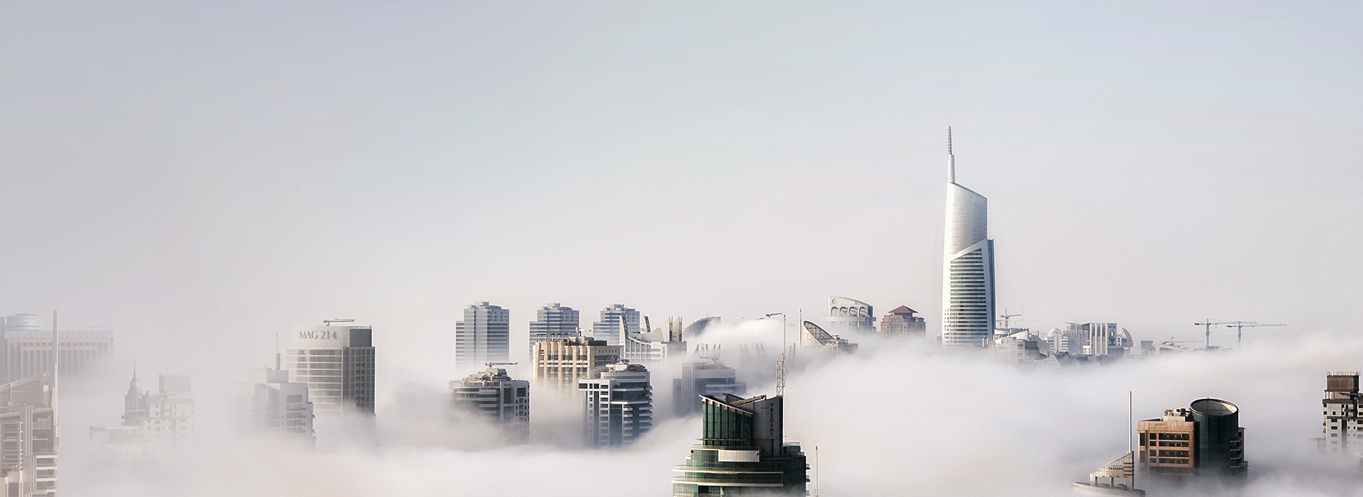 ����֮��8590cn�����Ƽ�-AI������_�����a�__�����ŵ�